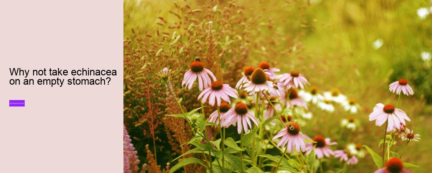 Does echinacea cause anxiety?