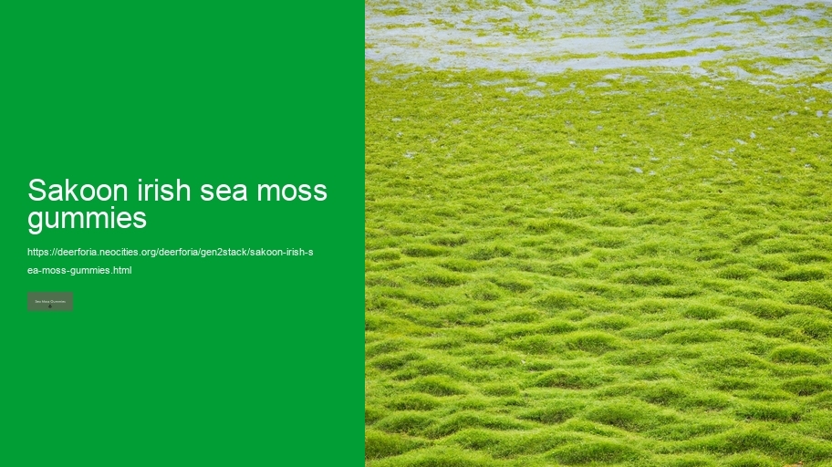 sakoon irish sea moss gummies