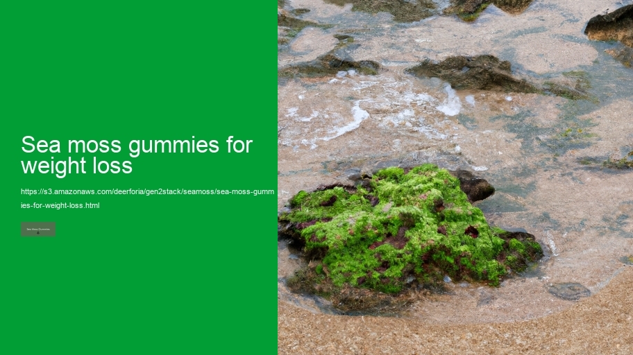 sea moss gummies for weight loss