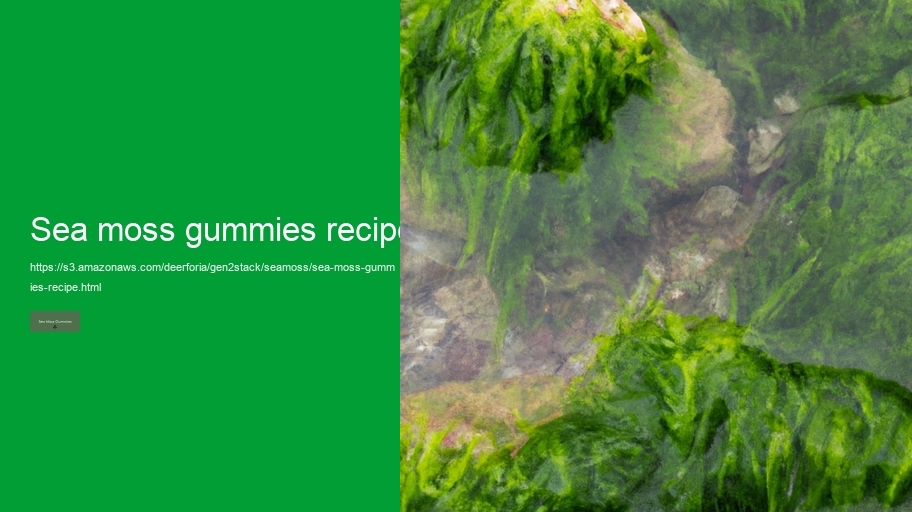 sea moss gummies recipe