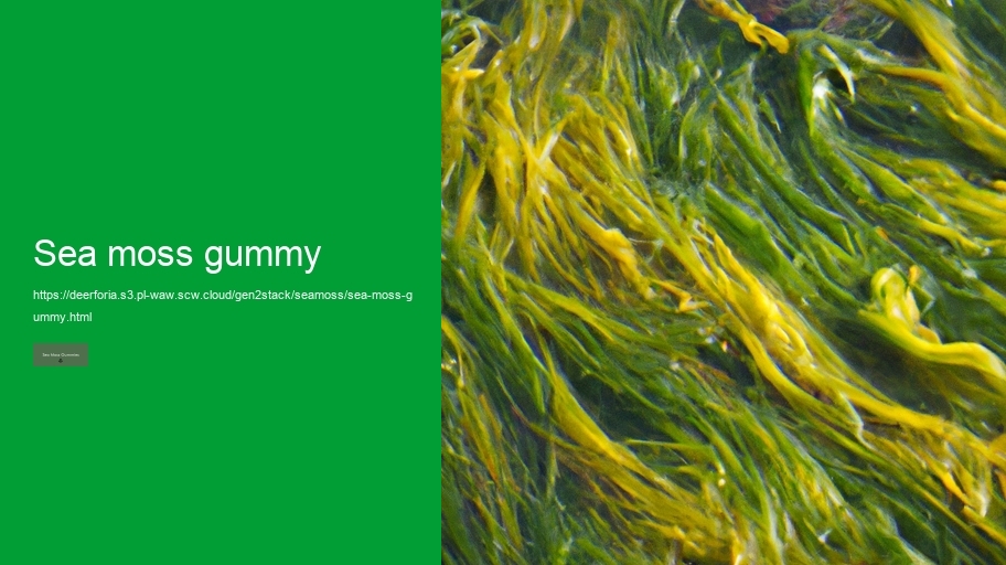 sea moss gummy
