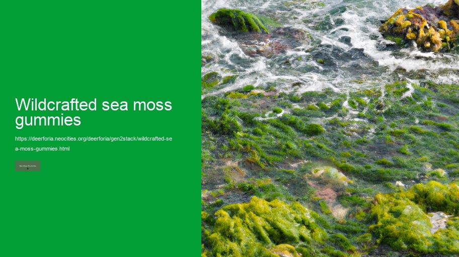 wildcrafted sea moss gummies